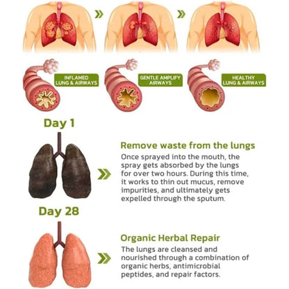 BBOJI™ Lung Cleansing Spray